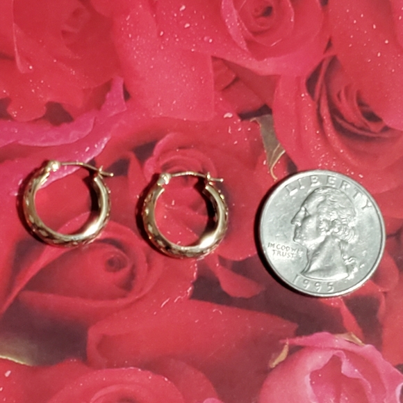 14K Gold Hoop Earrings - Picture 10 of 10